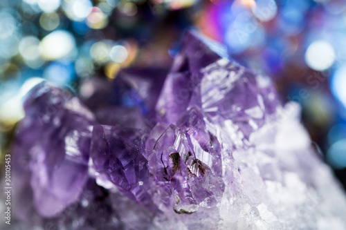 Geology of beauty. Natural healing wild jewels. Texture of gemstone lilac Amethyst closeup as a part of cluster geode filled with rock Quartz crystals.