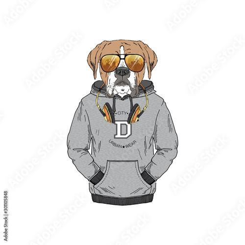 Humanized boxer breed dog dressed up in modern city outfits. Design for dogs lovers. Fashion anthropomorphic doggy illustration. Animal wear hoodie, headphones and sunglasses. Hand drawn vector.