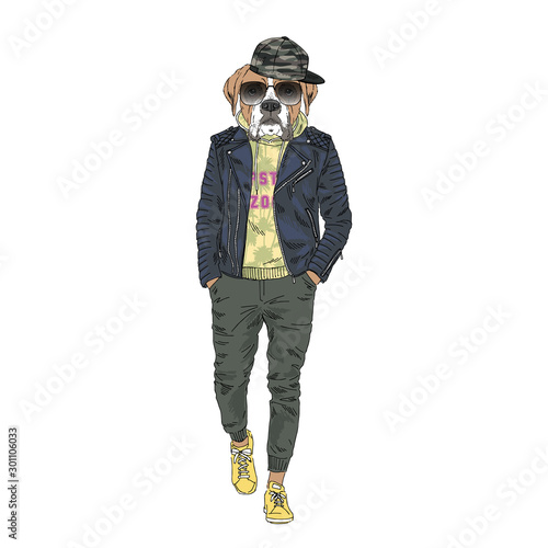 Humanized boxer breed dog dressed up in modern city outfits. Design for dogs lovers. Fashion anthropomorphic doggy illustration. Animal wear leather jacket, jogging pants, hoodie and sunglasses. Hand