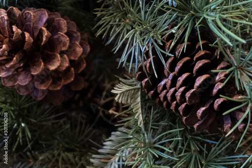 Pine cones, Christmas season background wallpaper texture, Christmas tree 