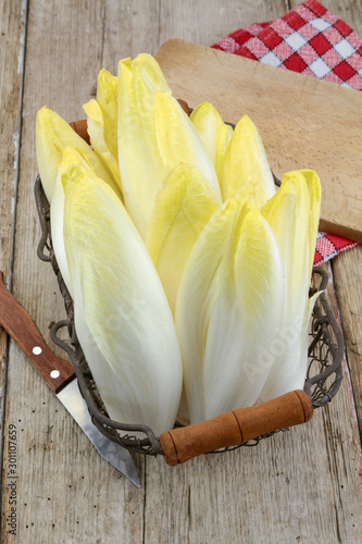 several raw endives on a wooden table photo