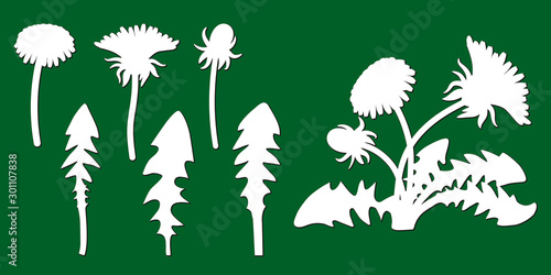Laser cut template of dandelion. Openwork leaves, buds, flowers isolated on green background. Vector floral silhouette elements. Taraxacum illustration for wood carving, paper cut, stamp for die cut.