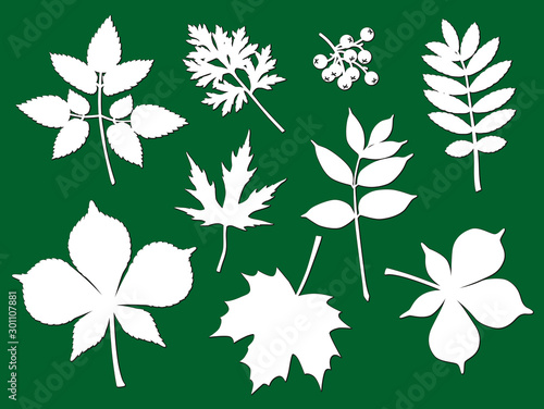 Laser cut template of leaves, branches. Openwork foliage of maple, chestnut, plant isolated on green background. Vector silhouette of elements. Stencil for wood carving, paper cut, stamp for die cut.