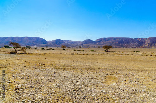 Wadi Paran Nature reserve, in the Negev Desert