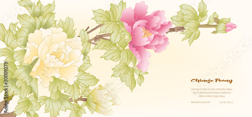 Peony tree branch with flowers in the style of Chinese painting on silk Template for wedding invitation, greeting card, banner, gift voucher, label. Colored vector illustration..