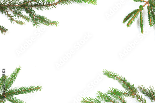 Branches of fir tree on white background isolated .