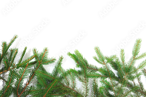 Branches of fir tree on white background isolated . © Fototocam