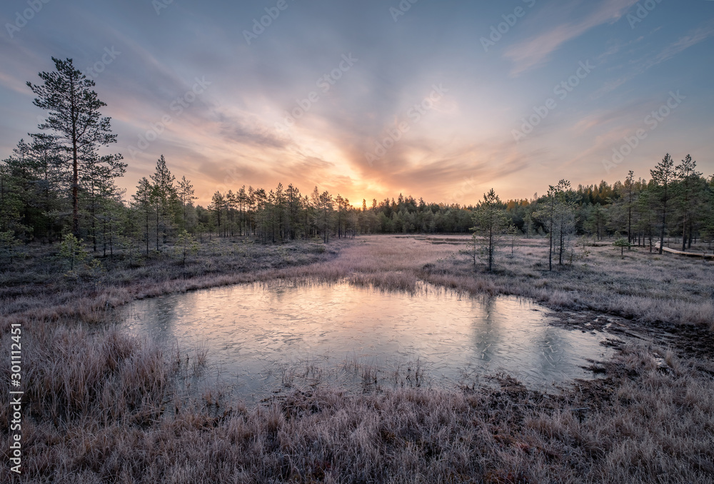 Calmness and cold autumn morning with frozen pond and sunrise in wetland Finland - obrazy, fototapety, plakaty 