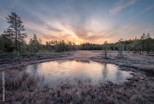 Calmness and cold autumn morning with frozen pond and sunrise in wetland Finland