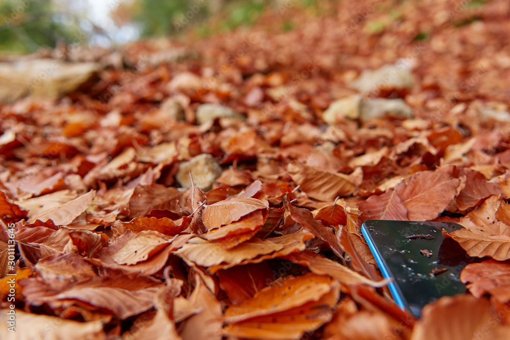 Obraz premium Mobile lost in the middle of the autumn leaves to the depths of the forest, blue mobile, covered with brown leaves, is trodden by someone since it is dirty