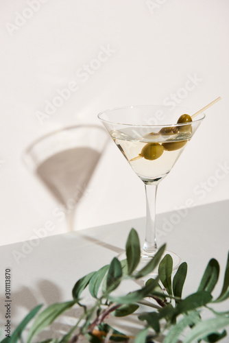 Martini with shadow on white background and olive branch on grey surface