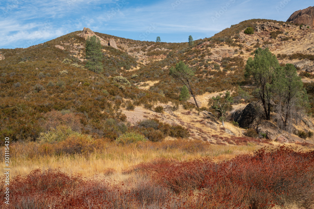 Grasslands at Pinnacles National Park Grasslands at Pinnacles National Park