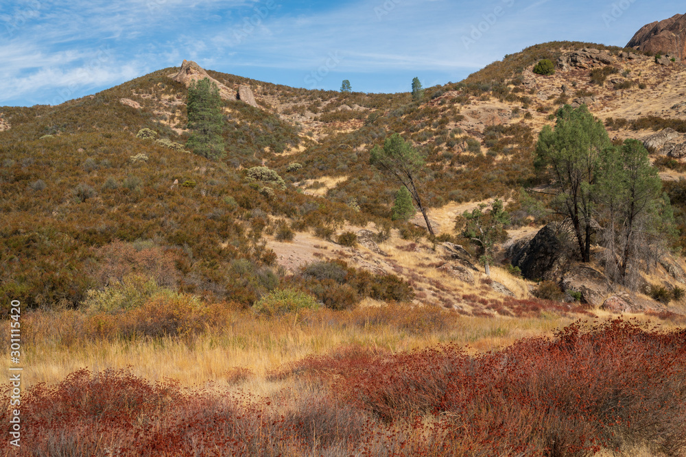 Grasslands at Pinnacles National Park