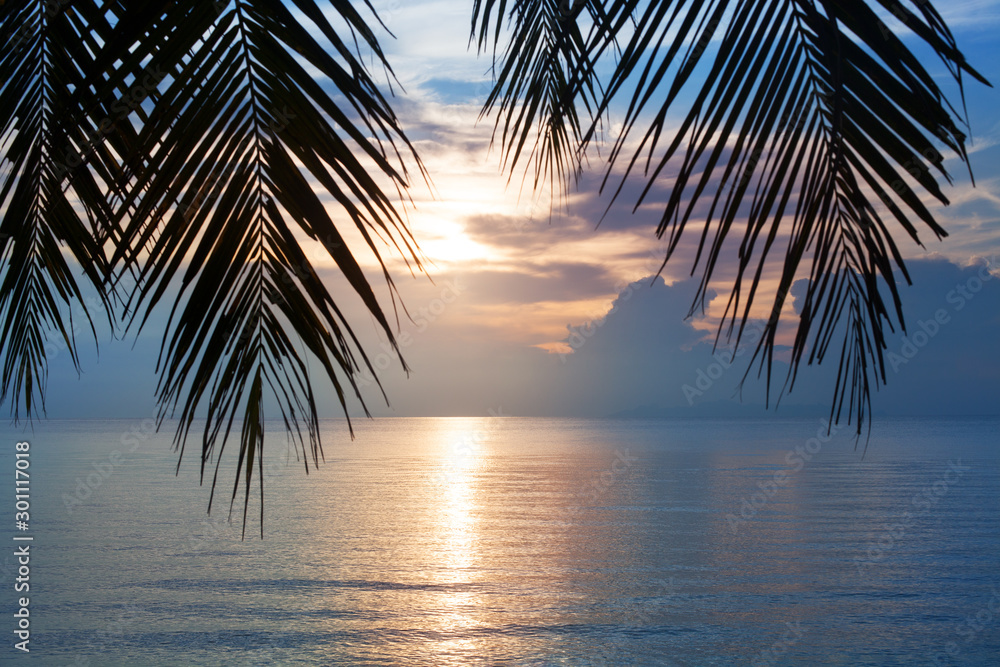 Sunset on tropical sea beach, palm tree leaves silhouette, beautiful cloudy sky background, golden sun glow reflection on blue ocean water, vacation on paradise exotic island, summer holidays relax