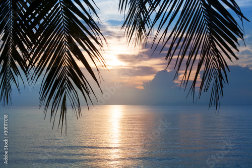 Sunset on tropical sea beach, palm tree leaves silhouette, beautiful cloudy sky background, golden sun glow reflection on blue ocean water, vacation on paradise exotic island, summer holidays relax
