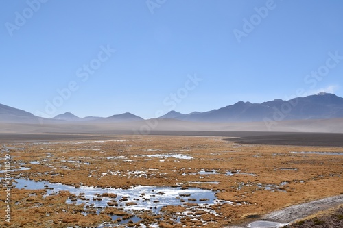 Wetlands Atacama