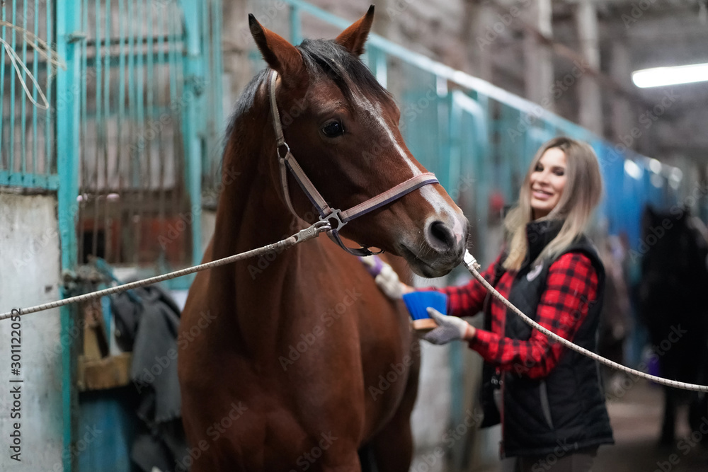 Fototapeta premium A beautiful girl in a fashionable red plaid shirt is cleaning a brown horse in the stall