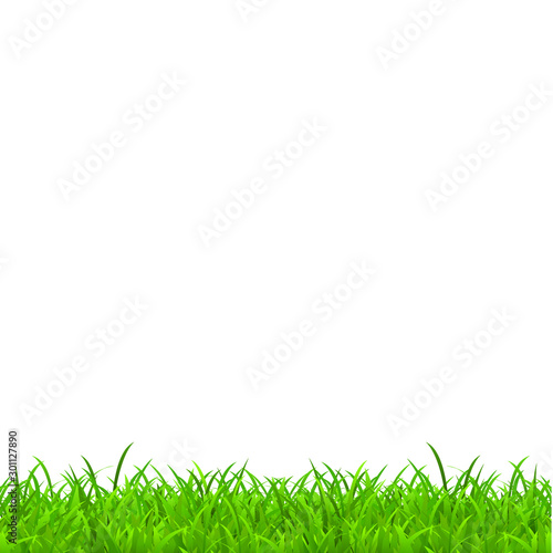 Realistic green grass. Spring grass, field, nature on a white background