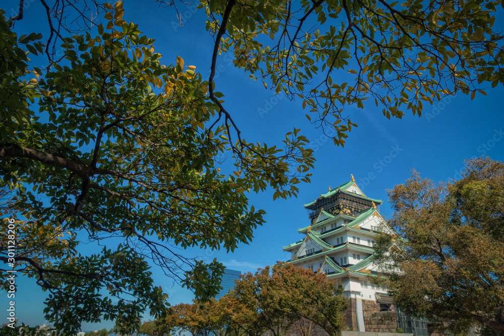 大阪城天守閣と紅葉の風景