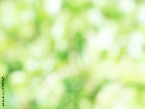 green leaves background © ก๋อนเคีอ ยังโสดนะ