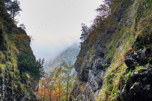 beautiful gorge from dyed to autumn colors , janosikove diery , slovensko mala fatra
