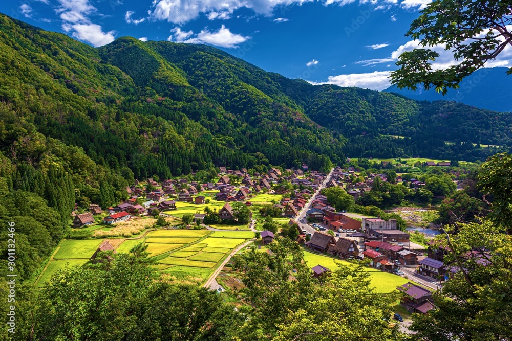 岐阜県・白川村 夏の白川郷の風景 StockFoto Adobe Stock