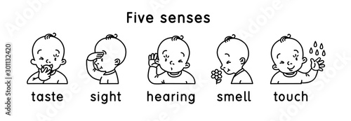 Five senses icon. Touch, taste hearing sight smell