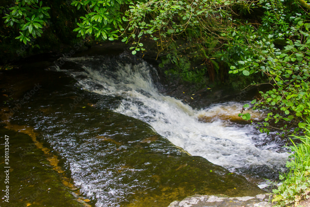 Fototapeta premium The small fast flowing river at the Glencar waterfall site