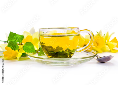Glass cup of hot green tea with daffodil flowers isolated on a white background.