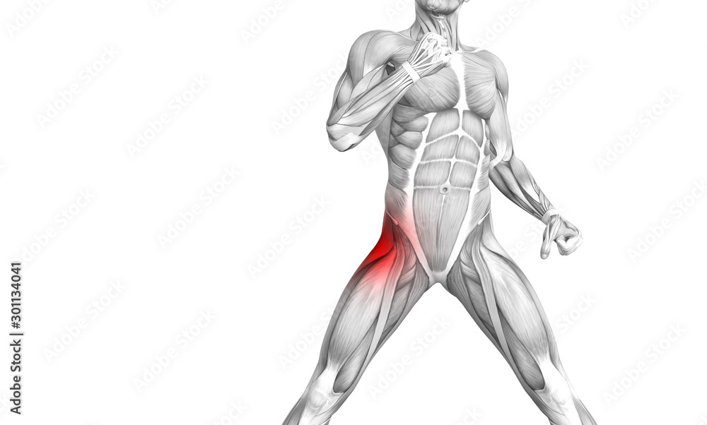 Conceptual hip human anatomy with red hot spot inflammation articular joint pain for leg health care therapy or sport muscle concepts. 3D illustration man arthritis or bone sore osteoporosis disease Conceptual hip human anatomy with red hot spot inflammation articular joint pain for leg health care therapy or sport muscle concepts. 3D illustration man arthritis or bone sore osteoporosis disease