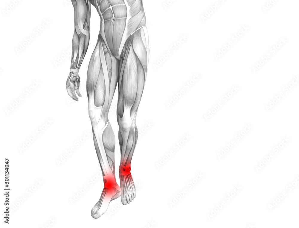 Conceptual ankle human anatomy with red hot spot inflammation or articular joint pain for leg health care therapy or sport muscle concepts. 3D illustration man arthritis or bone osteoporosis disease Conceptual ankle human anatomy with red hot spot inflammation or articular joint pain for leg health care therapy or sport muscle concepts. 3D illustration man arthritis or bone osteoporosis disease