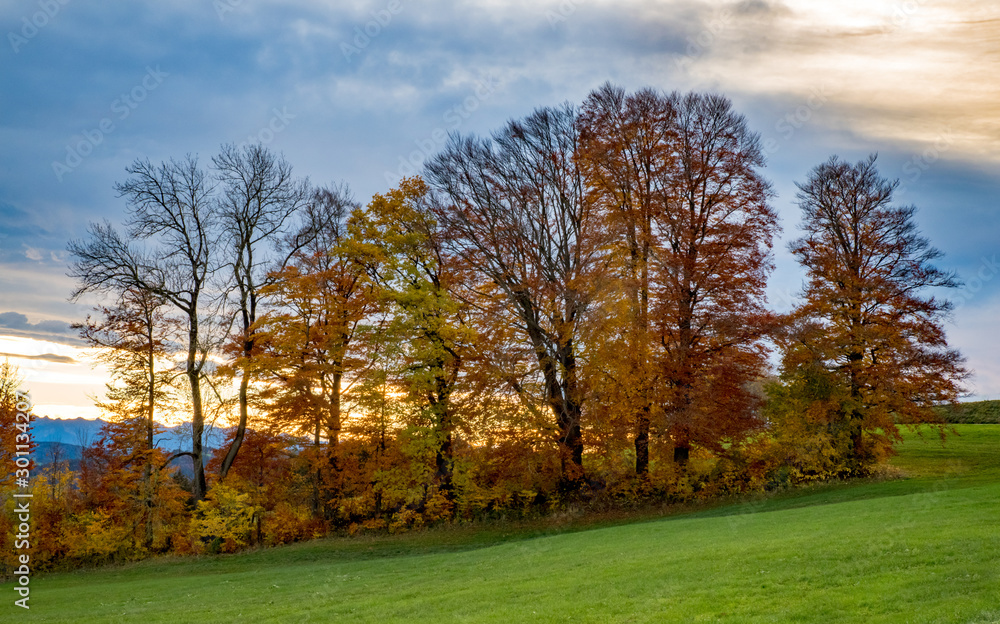 Herbstfarben