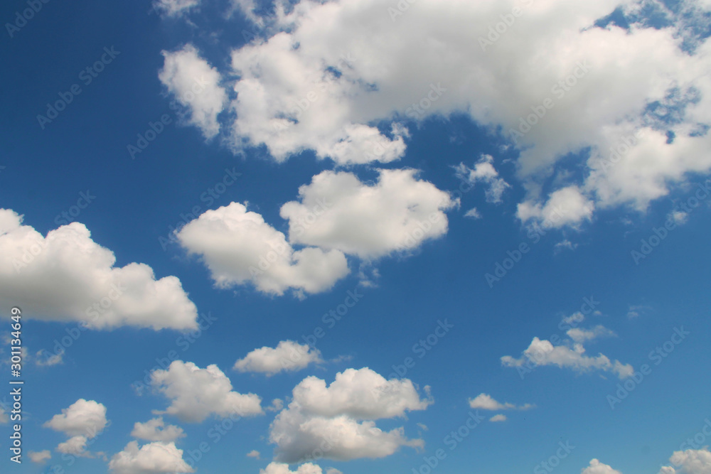 Fototapeta premium Blue sky with white clouds.