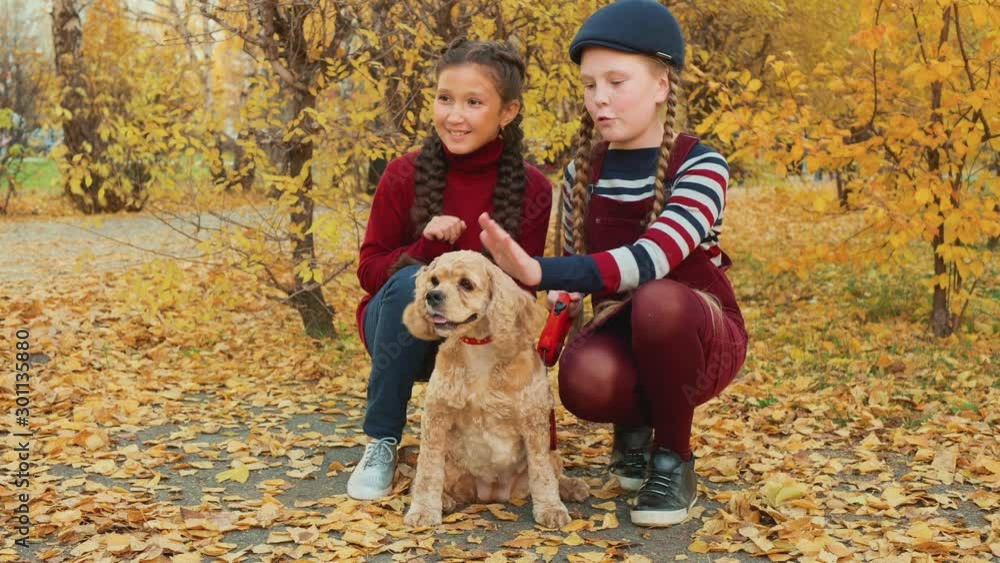 Two girl teenagers sitting with cocker spaniel dog in autumn park. Smiling girls stroking dog and posing for camera in yellow autumn park Two girl teenagers sitting with cocker spaniel dog in autumn park. Smiling girls stroking dog and posing for camera in yellow autumn park