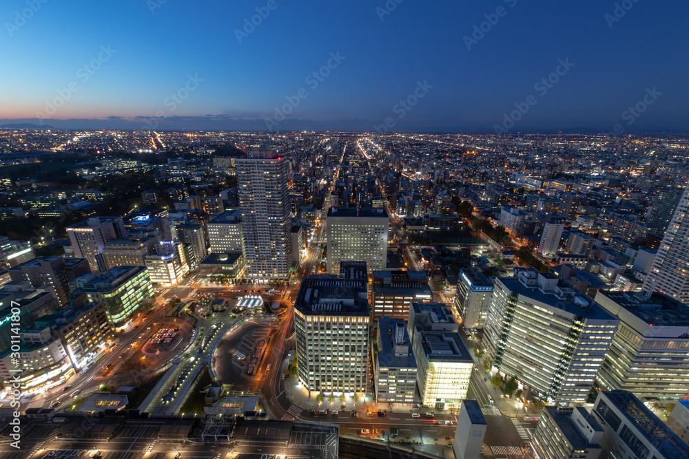 Obraz premium 札幌の夜景