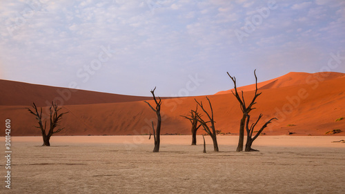 Morning visit of Deadvlei with its multicentenary trees  acacias  that have dried on site