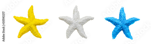 Multi color starfish figure model toy isolated on white background.