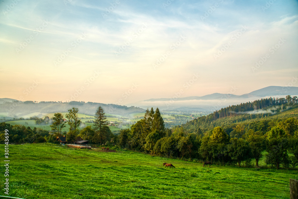 sunrise sun beautifully illuminating landscape with fog in background and horse on pasture