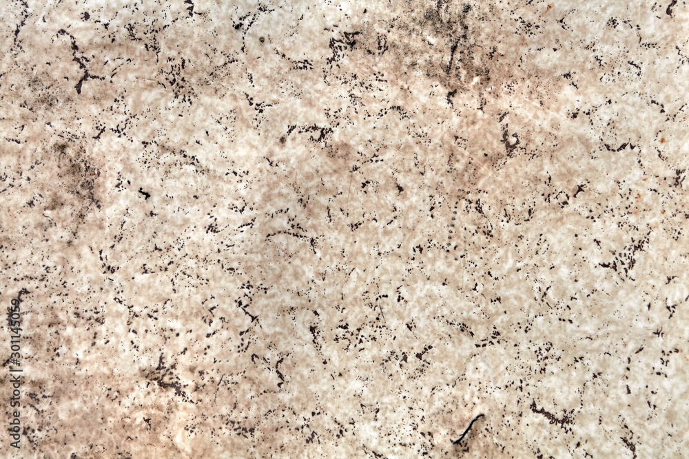 Part of the old linoleum patterned under the stone. Part of the old linoleum patterned under the stone.