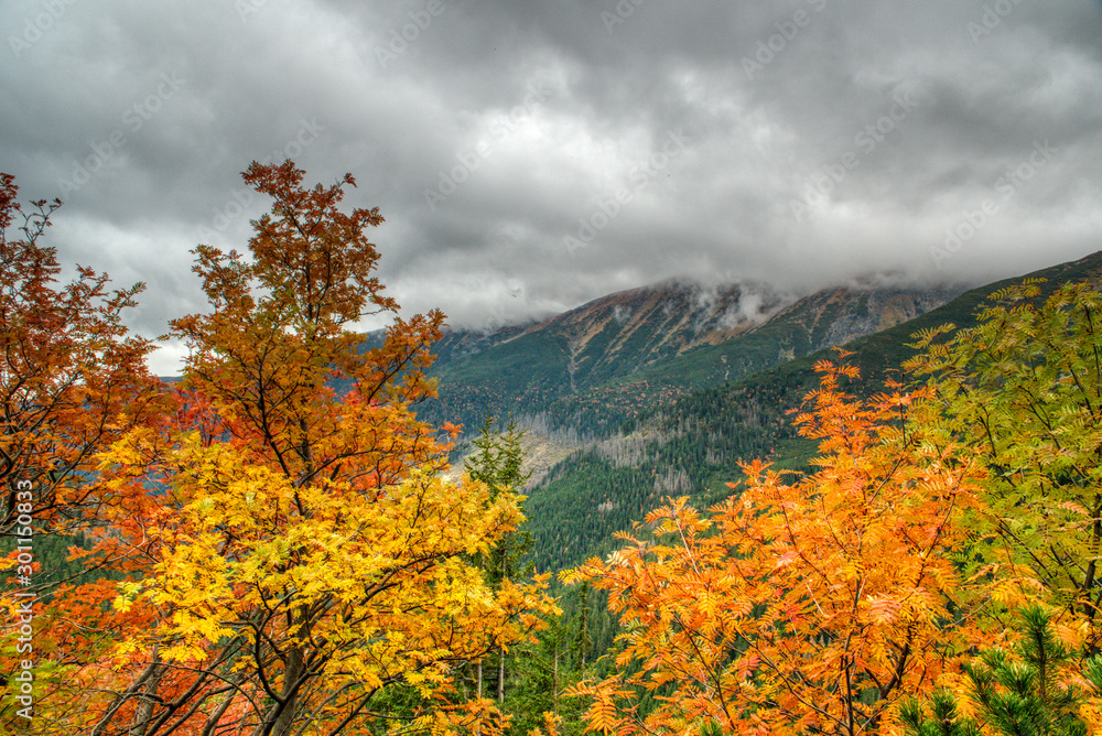 Fototapeta premium Beautifully cloudy Tatra Mountains in autumn colors