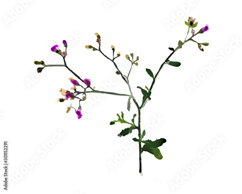 branch with flowers