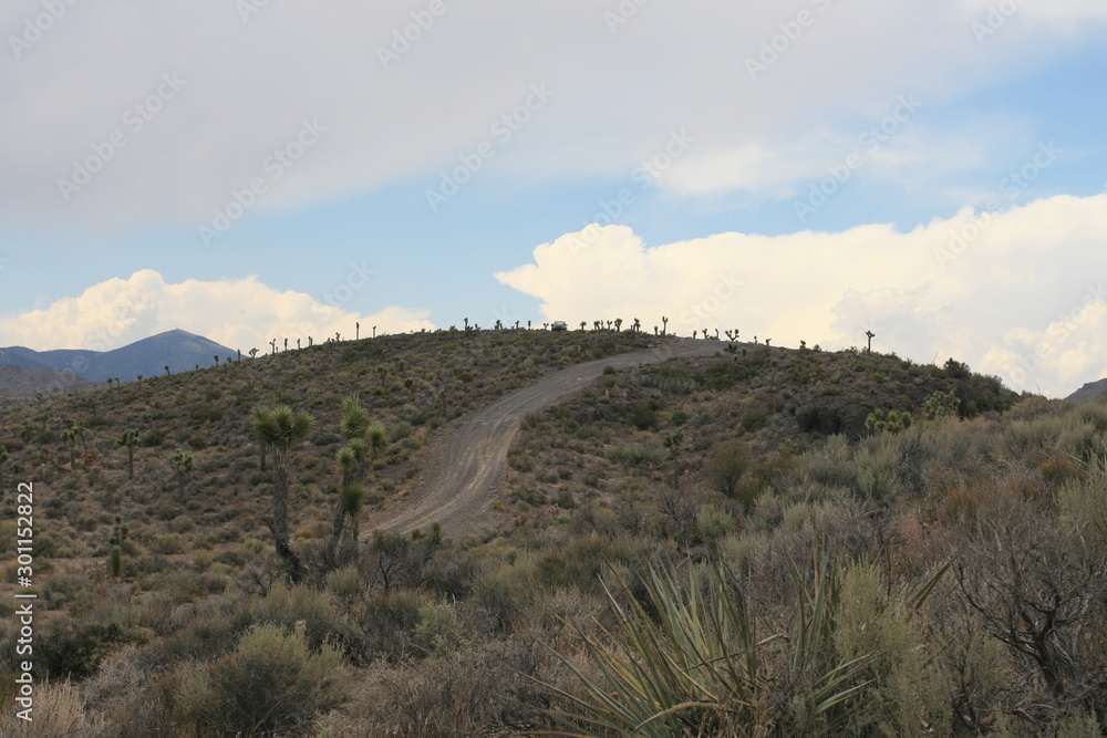 Area 51 - Nevada Test and Training Range, USA