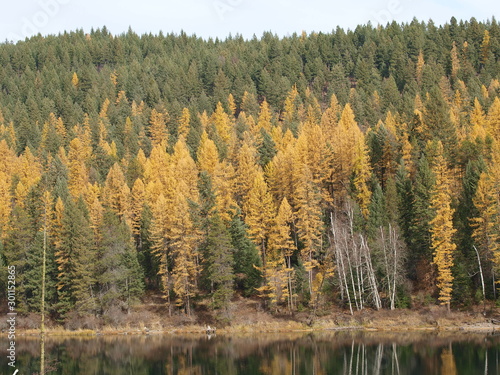 autumn in western montana