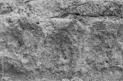 Closeup top view of black and white organic texture. Natural background. 