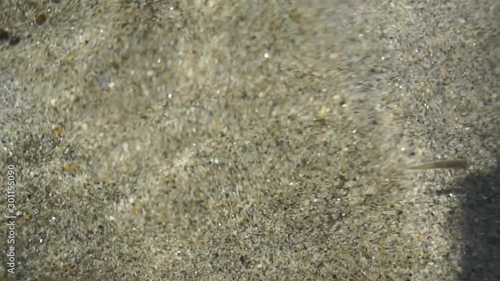 Close up of a beautiful clean water in slow motion with small swimming fishes. Close up of a beautiful clean water in slow motion with small swimming fishes.