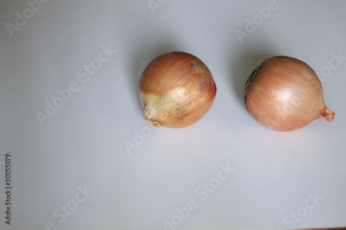 two onions on a white background photo