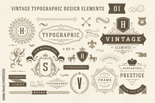 Vintage typographic design elements set vector illustration.