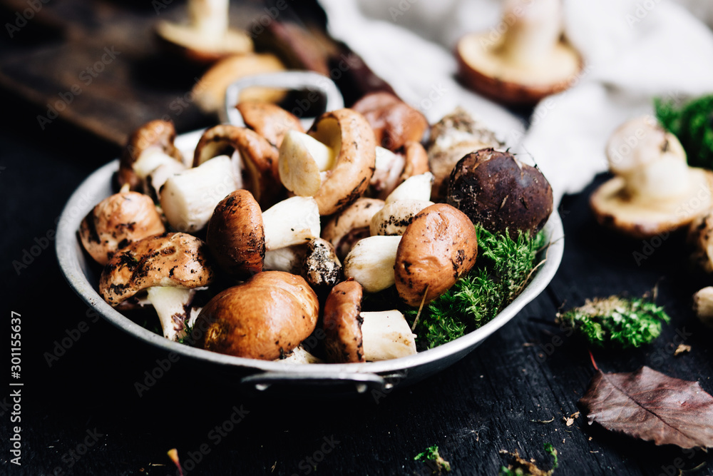 Forest mushrooms