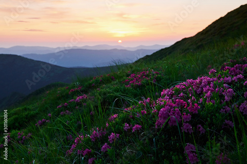 At sunset. Majestic Carpathian mountains. Beautiful landscape. Breathtaking view