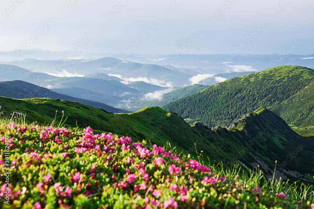 Sunny hiking day. Majestic Carpathian mountains. Beautiful landscape. Breathtaking view